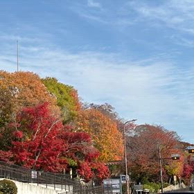 大阪府池田市にある逸翁美術館(イツオウビジュツカン)と小林一三記念館に行って来ました｡の画像