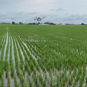 農薬散布しましたの画像