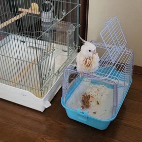 王子様のお迎え‼️(≧▽≦)の画像