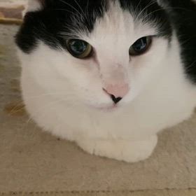 知らんけどわしの画像