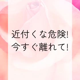 あなたはもう傷つかなくていいの画像