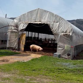 穏やかな一日╰(*´︶`*)╯♡の画像