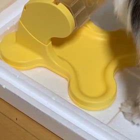 面倒くさがるな！の画像