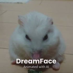 風邪…？の画像