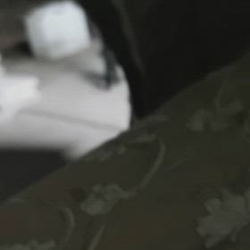 テント炬燵暮らしの画像