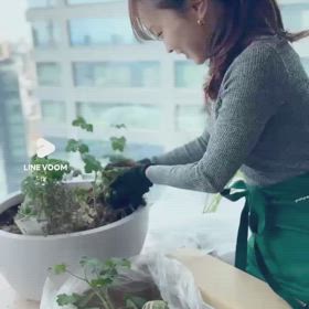 家事代行【ペットシッター】の画像