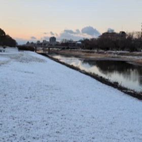 きょうの散歩道の画像