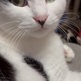 引き続きお願いされたくない感じになるの画像