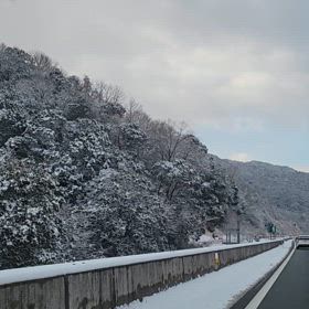雪もこれでの画像