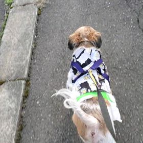 5月9日午前中の画像