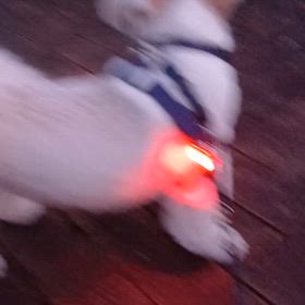 契約更新v(´・∀・｀*)vの画像