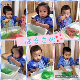 ブチブチ！ザクザク！バサ〜！春雨遊び「小さな体験」をたくさん積ませるの画像