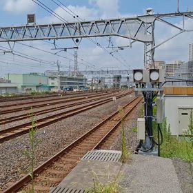 ムコナの画像