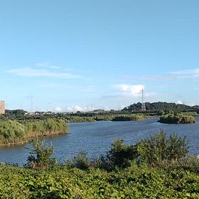 今日の沼の画像