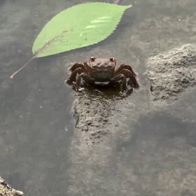 そのままでいいよの画像