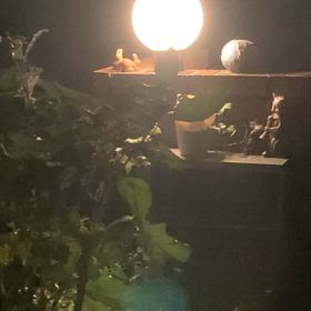 季節の使者達の画像