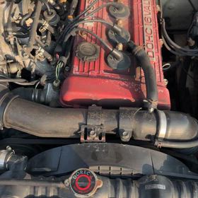 ガゼールの画像