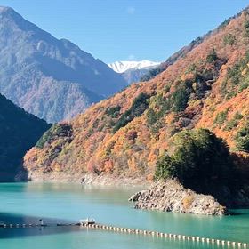 秋の動画の画像