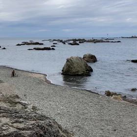 ※  共有したいから！！の画像