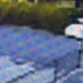 軽を路駐する時に、邪魔になってた！Σ('◉⌓◉’)の画像