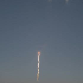 長岡花火2024の画像