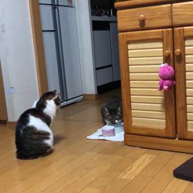 今日のジム活は…  私は運転出来ないからの画像