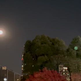 群衆のわけの画像