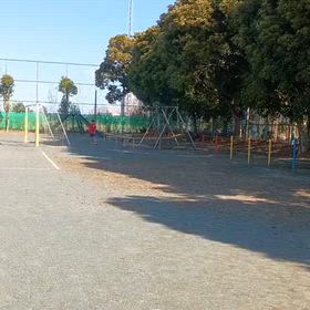 走り幅跳び練習（大会対策）⑫の画像