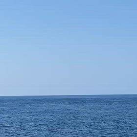 クジラからのエールの画像