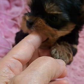 飢えてます❤の画像