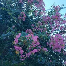 30日。水曜日。の画像