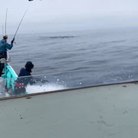 明日の乗り合い！の画像