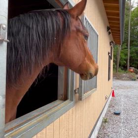 今まで通りではダメ！気をつけないと！の画像