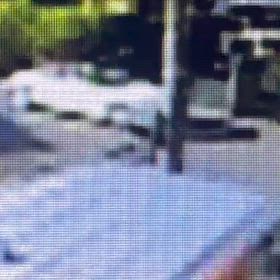 一旦停止してからの画像