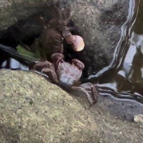 あまり見かけない闘いのシーンの画像