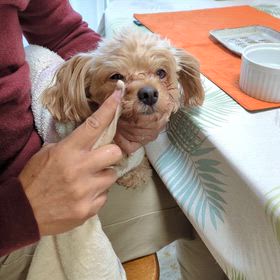 身だしなみの画像