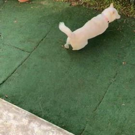 娘が作ってくれました③の画像