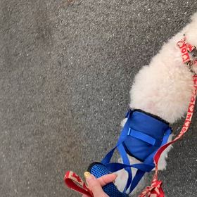 おはようの画像