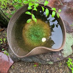 こんにちは。(7月17日)の画像