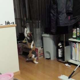 紐が気になるお年頃の画像