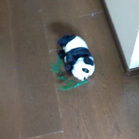 ニーハオ！Rちゃん、日中友好レッスン(/^-^(^ ^*)/の画像