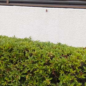 運動がてら〜散策①の画像