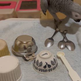 やさぐれ女子。の画像