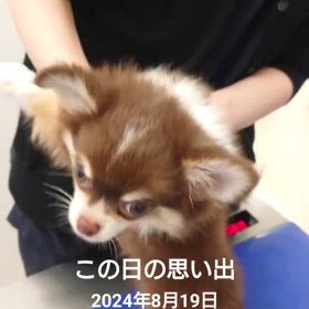 1年たっての画像