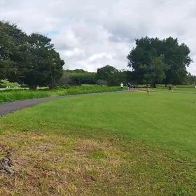 ハイレベ練習（300インターバル）⑦の画像