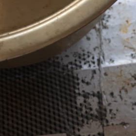 私の大学時代にハマってたJoopまたは、外れてるのもありの画像