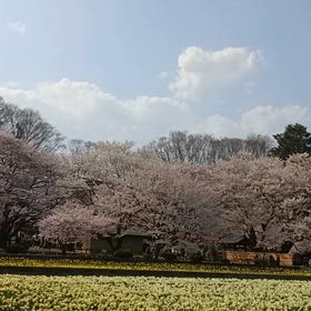 忙しない一日の画像