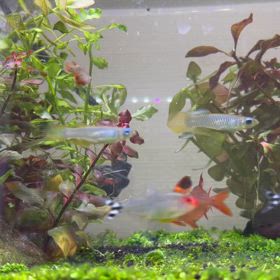 脳みそフル回転の画像