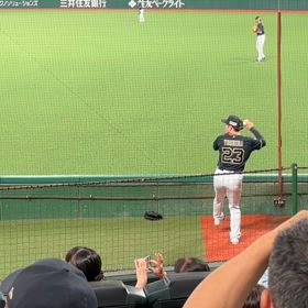 野球観戦と有給とバイトの画像