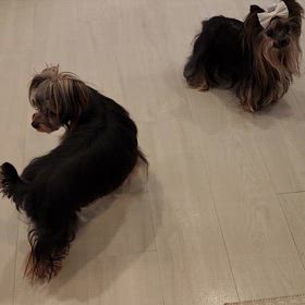 ストレス発散？笑の画像